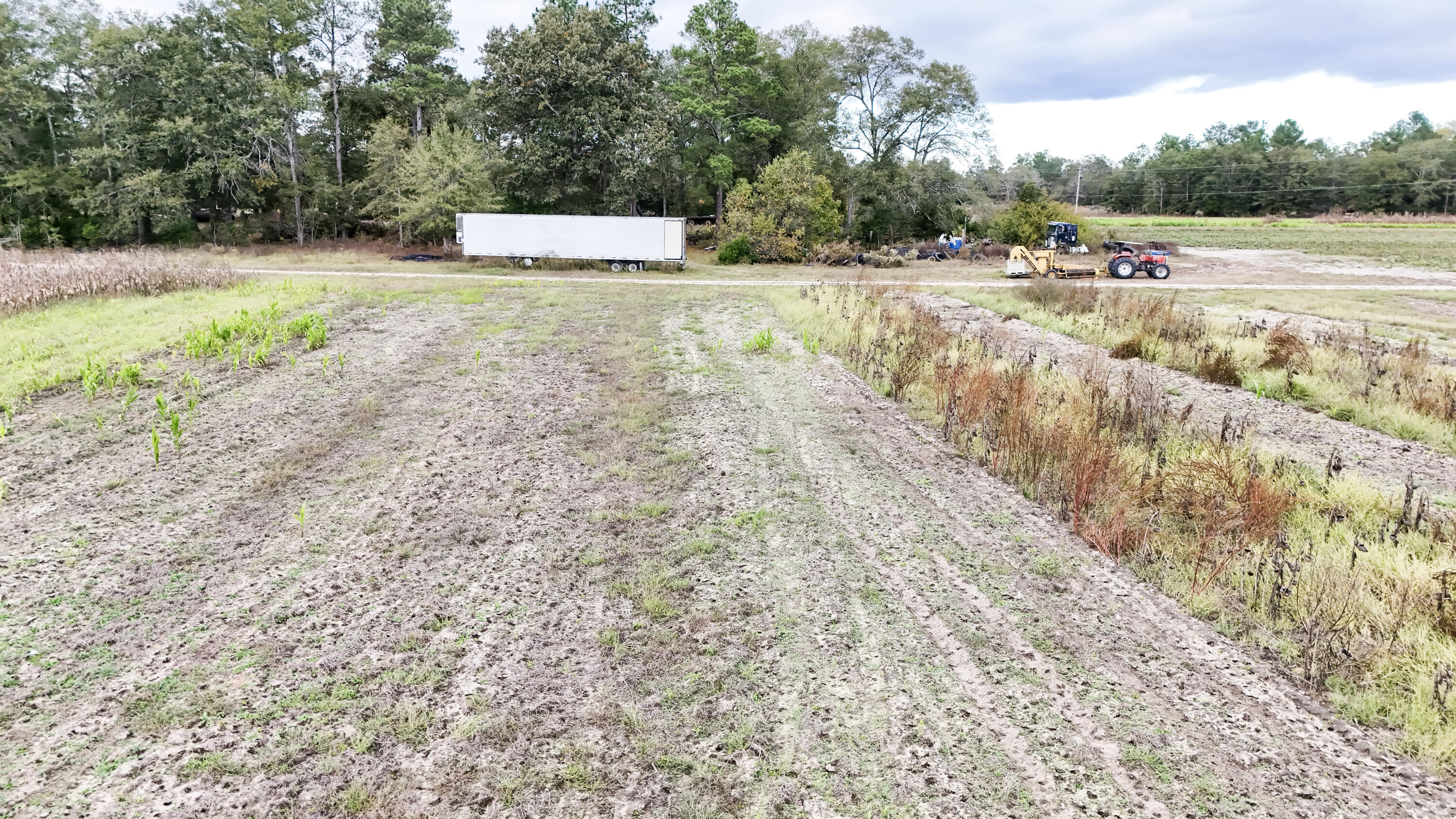 0 Chavis Road Blackville, SC 29817 - Photo 19 of 22 19-DJI_20251031050136_0254_D