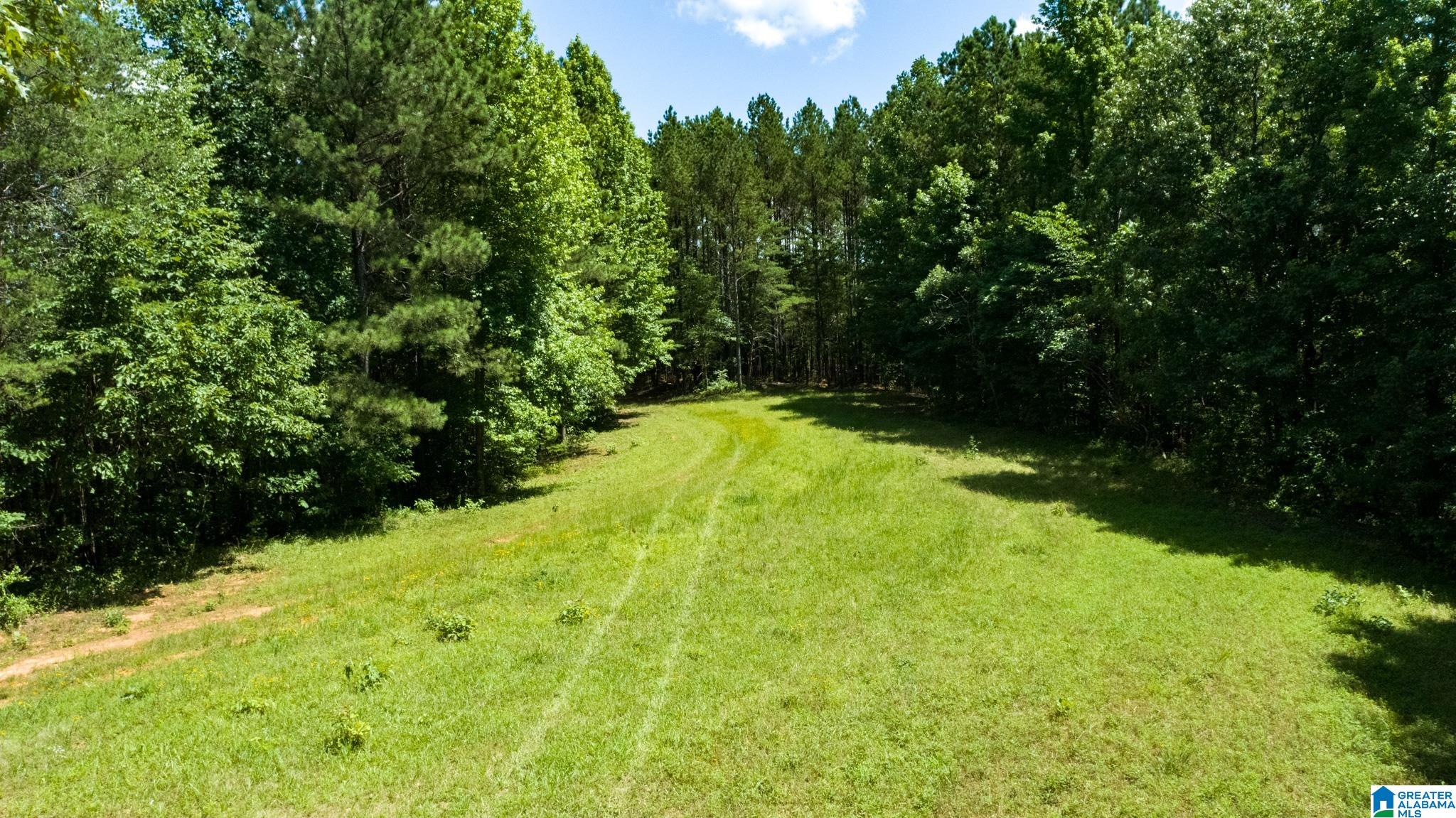 808 Fulton Hill Road, Unit 808 Berry, AL 35546 - Photo 4 of 26