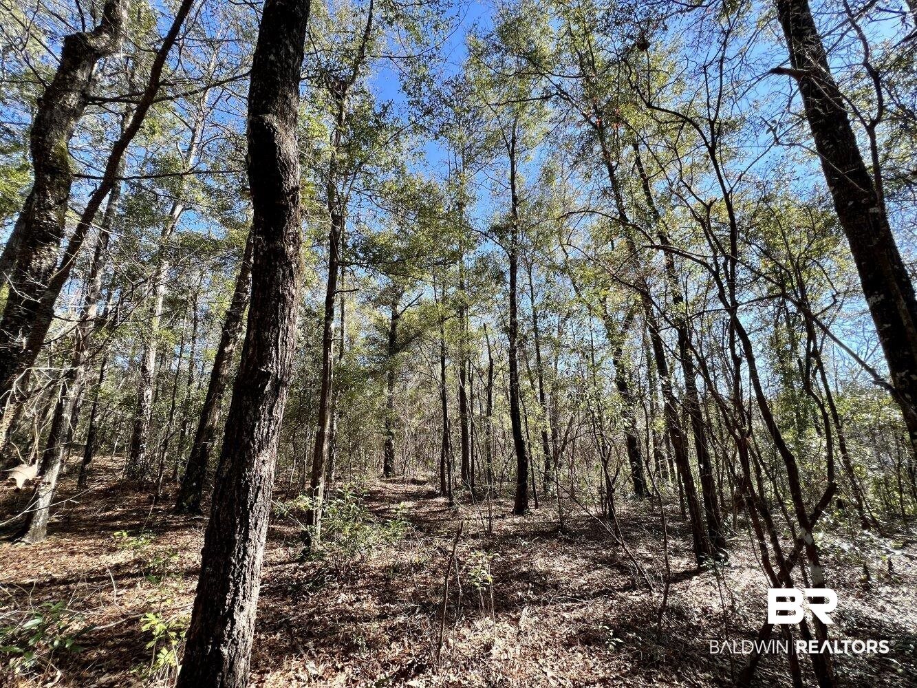 0 Dixon Road Bay Minette, AL 36507 - Photo 48 of 50