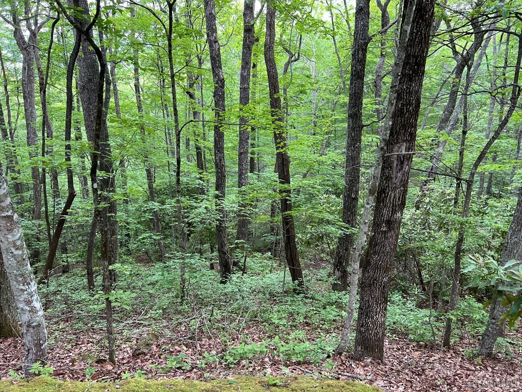 Lot # Shepherds Gap Road Cullowhee, NC 28723 - Photo 4 of 5 Gallery Image 4
