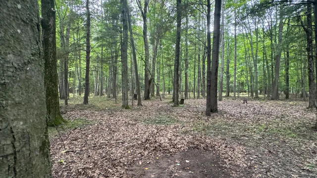 $137,500 | 2404 Bialik Road, Manistee, MI 49660