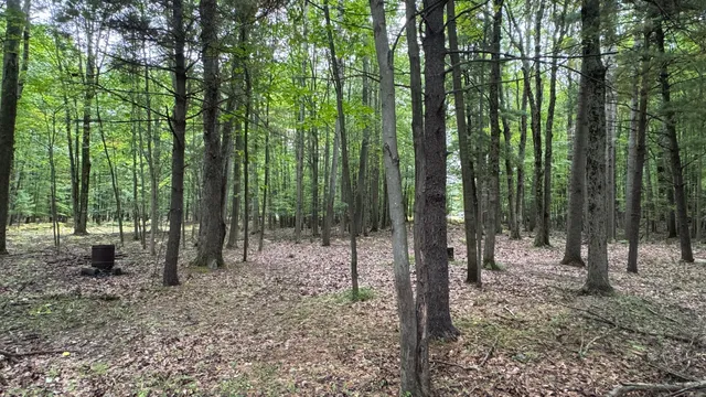 $137,500 | 2404 Bialik Road, Manistee, MI 49660