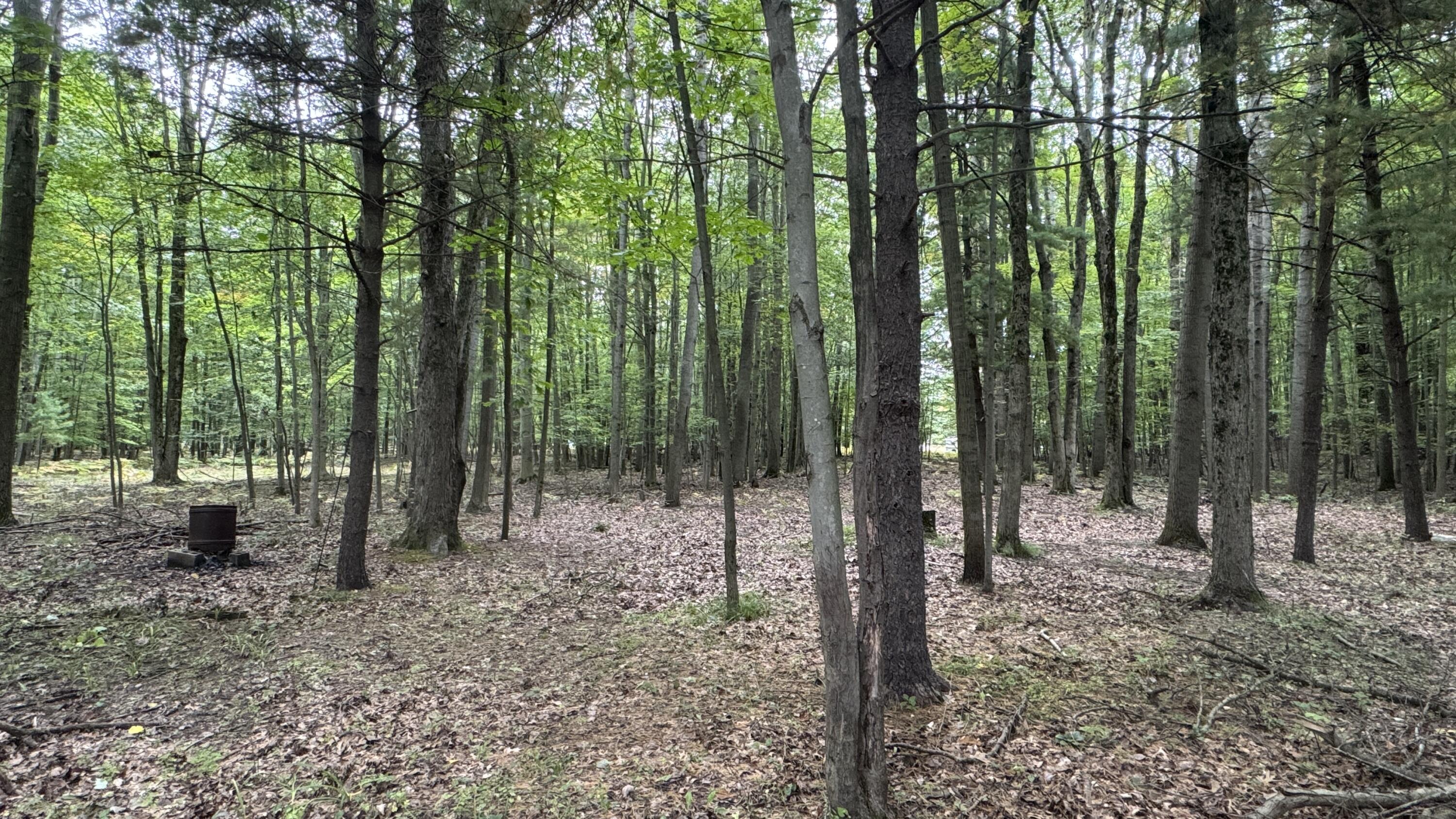 2404 Bialik Road Manistee, MI 49660 - Photo 19 of 20 19