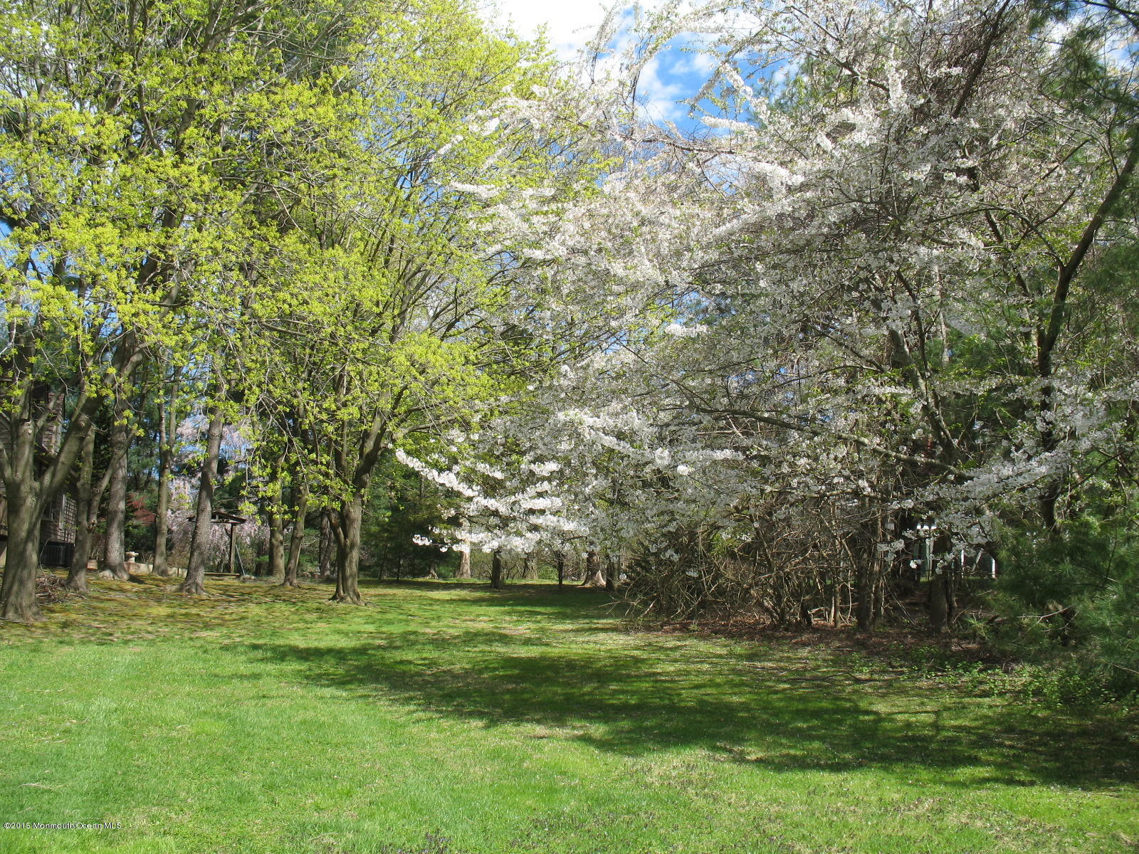 163 Crawfords Corner Road Holmdel, NJ 07733 - Photo 26 of 50 163 crawford 020