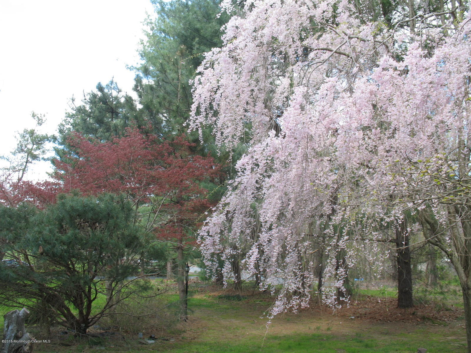 163 Crawfords Corner Road Holmdel, NJ 07733 - Photo 27 of 50 163 crawford 023