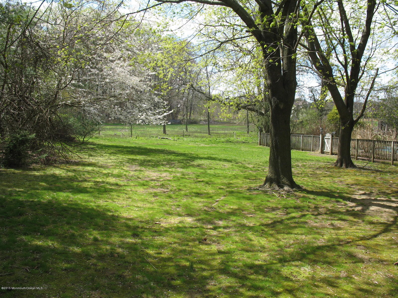 163 Crawfords Corner Road Holmdel, NJ 07733 - Photo 30 of 50 163 crawford 022