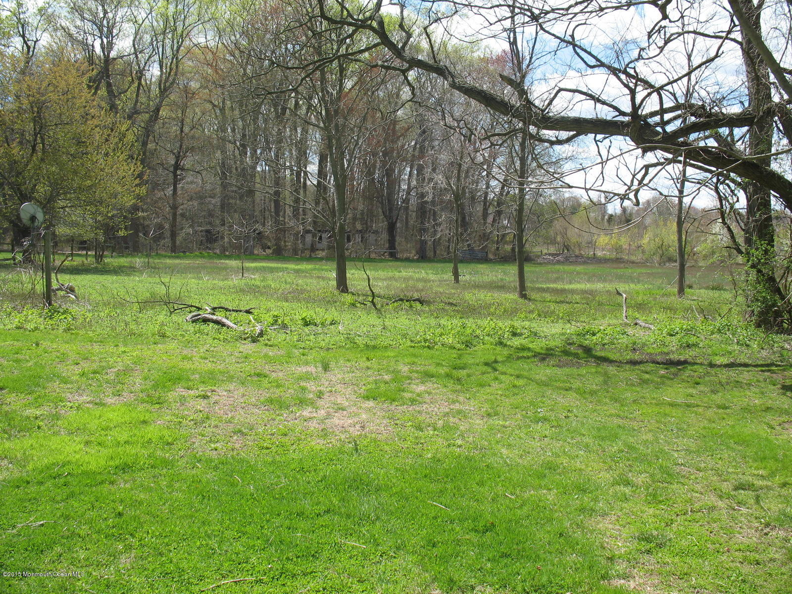 163 Crawfords Corner Road Holmdel, NJ 07733 - Photo 33 of 50 163 crawford 012