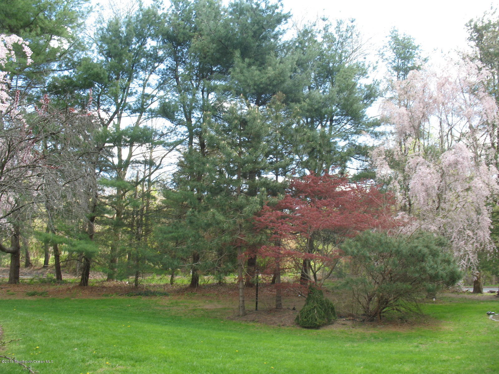 163 Crawfords Corner Road Holmdel, NJ 07733 - Photo 39 of 50 163 Crawfrod 3 007