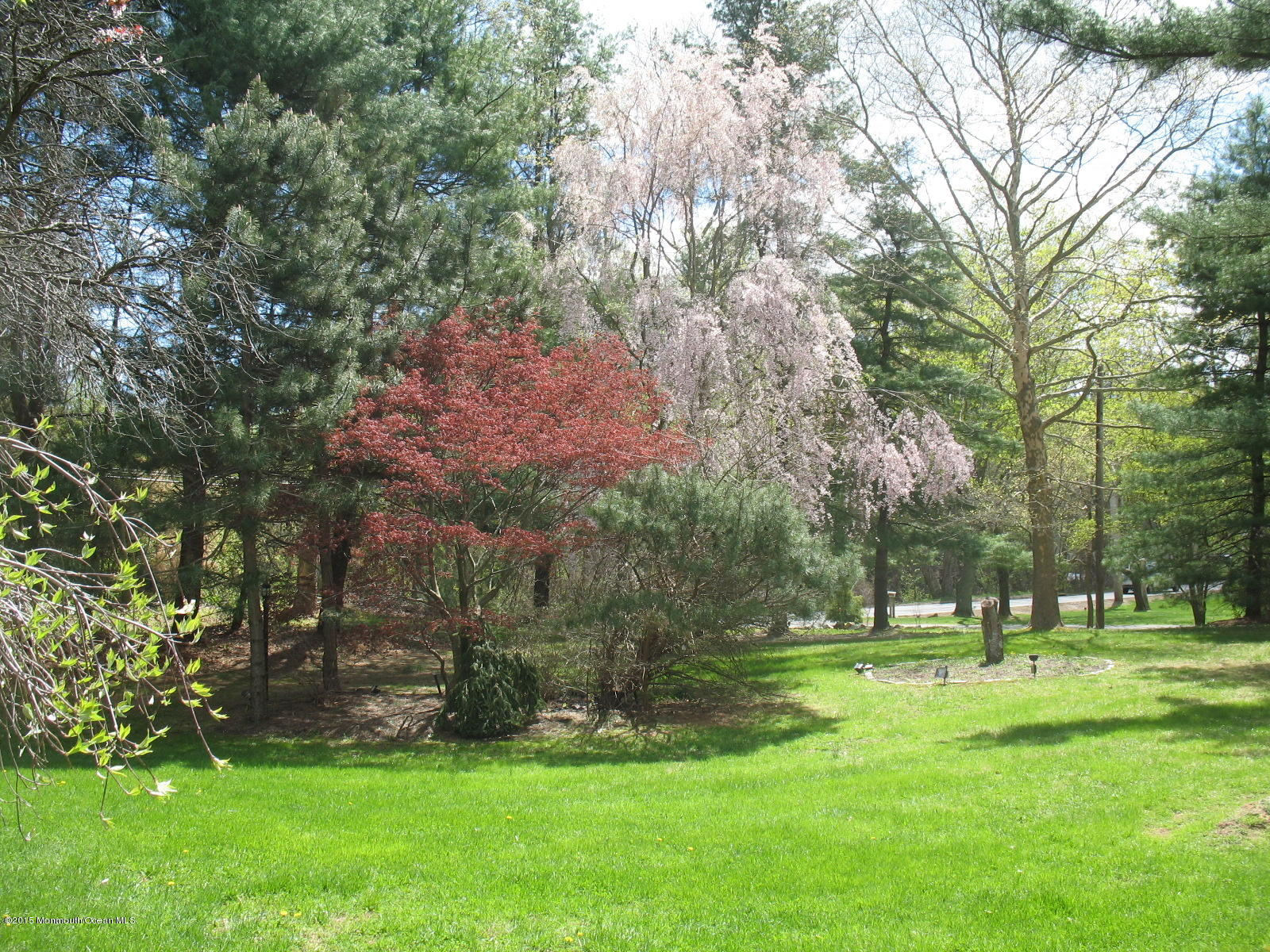 163 Crawfords Corner Road Holmdel, NJ 07733 - Photo 40 of 50 163 Crawfrod 3 008