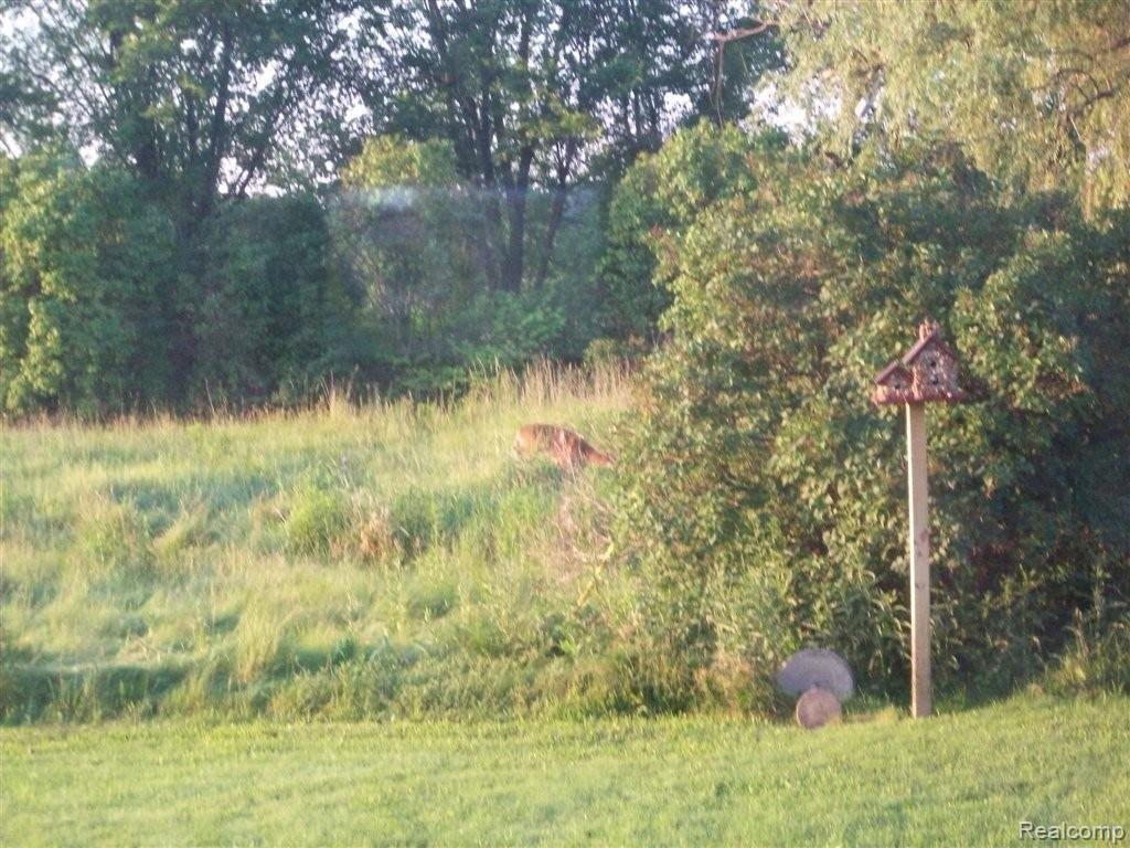 1095 Hadley Road Lapeer, MI 48446 - Photo 8 of 10 000_0001.JPG