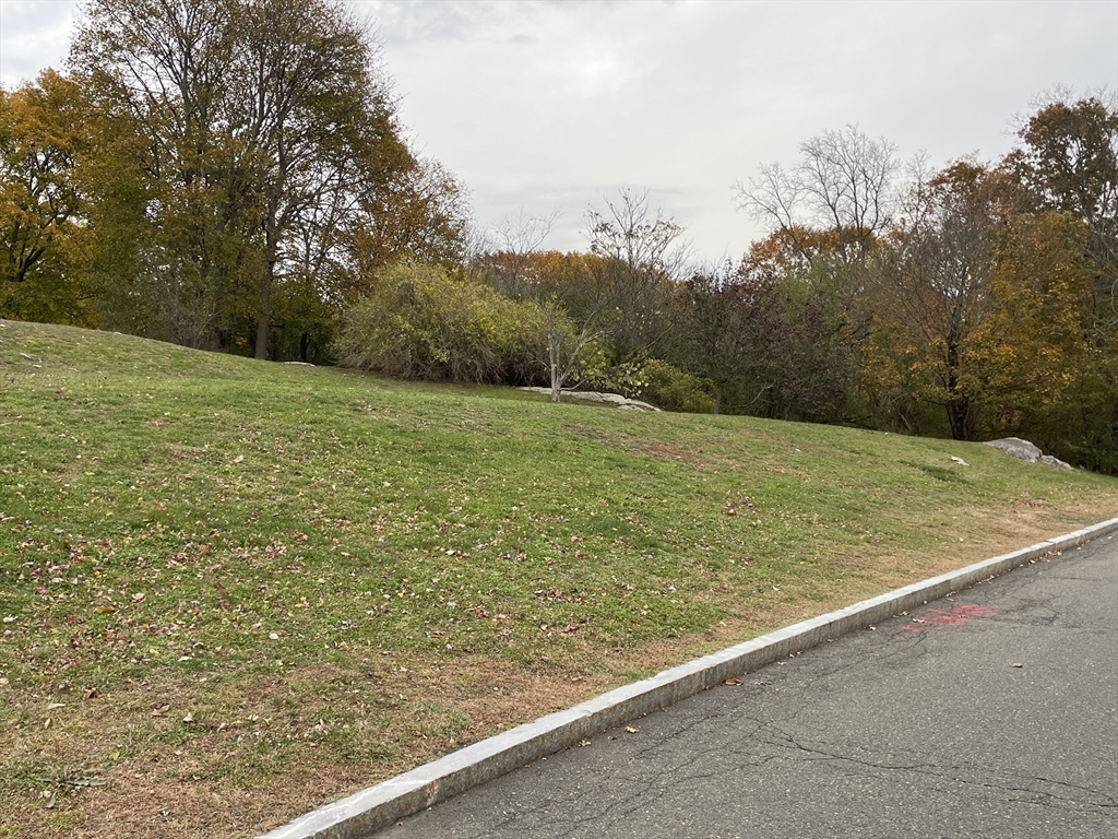 12 C Cheever Avenue Saugus, MA 01906 - Photo 2 of 8 a view of a field with an trees