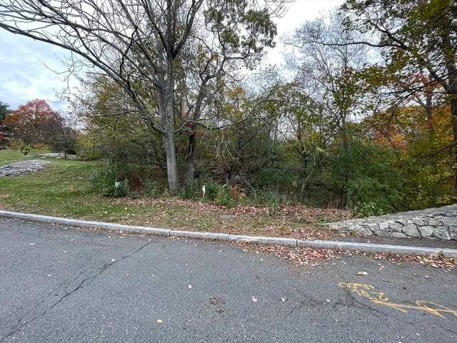 a view of a yard with a tree