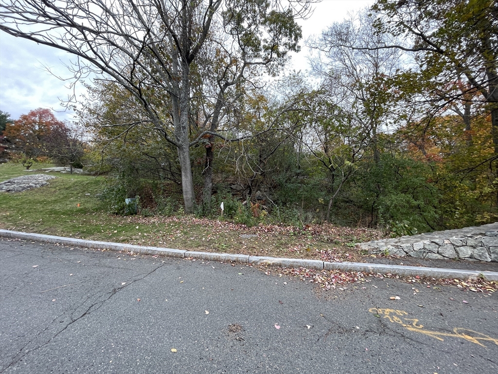 12 C Cheever Avenue Saugus, MA 01906 - Photo 4 of 8 a view of a yard with a tree