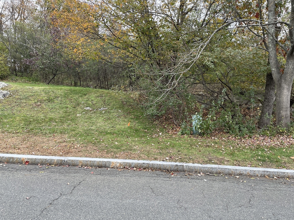 12 C Cheever Avenue Saugus, MA 01906 - Photo 5 of 8 a backyard of a house with a yard and trampoline
