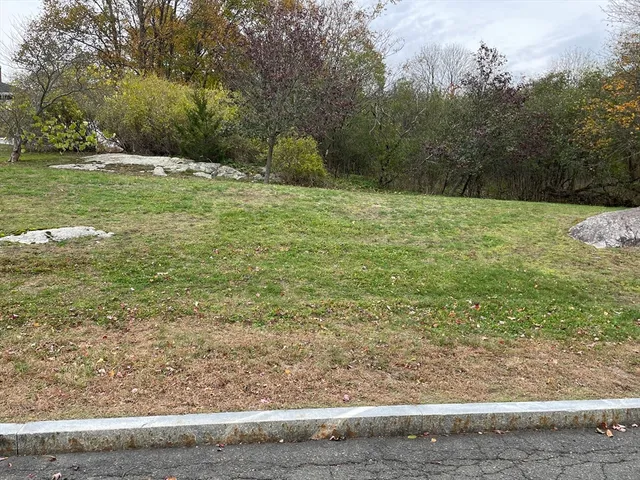 a view of a yard with large trees