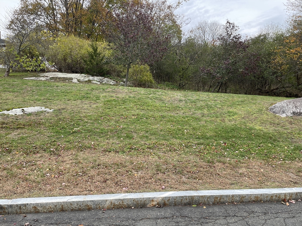 12 C Cheever Avenue Saugus, MA 01906 - Photo 6 of 8 a view of a yard with large trees