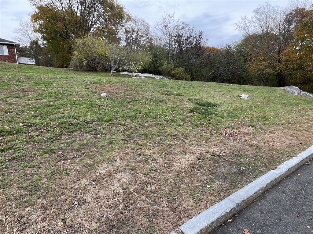 12 C Cheever Avenue Saugus, MA 01906 - Photo 7 of 8 a view of outdoor space with trees all around