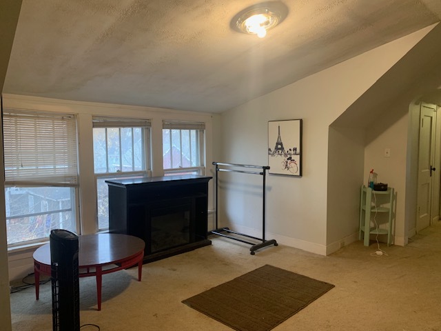 514 Marcy Street Ottawa, IL 61350 - Photo 39 of 54 a living room with furniture a rug and a fireplace