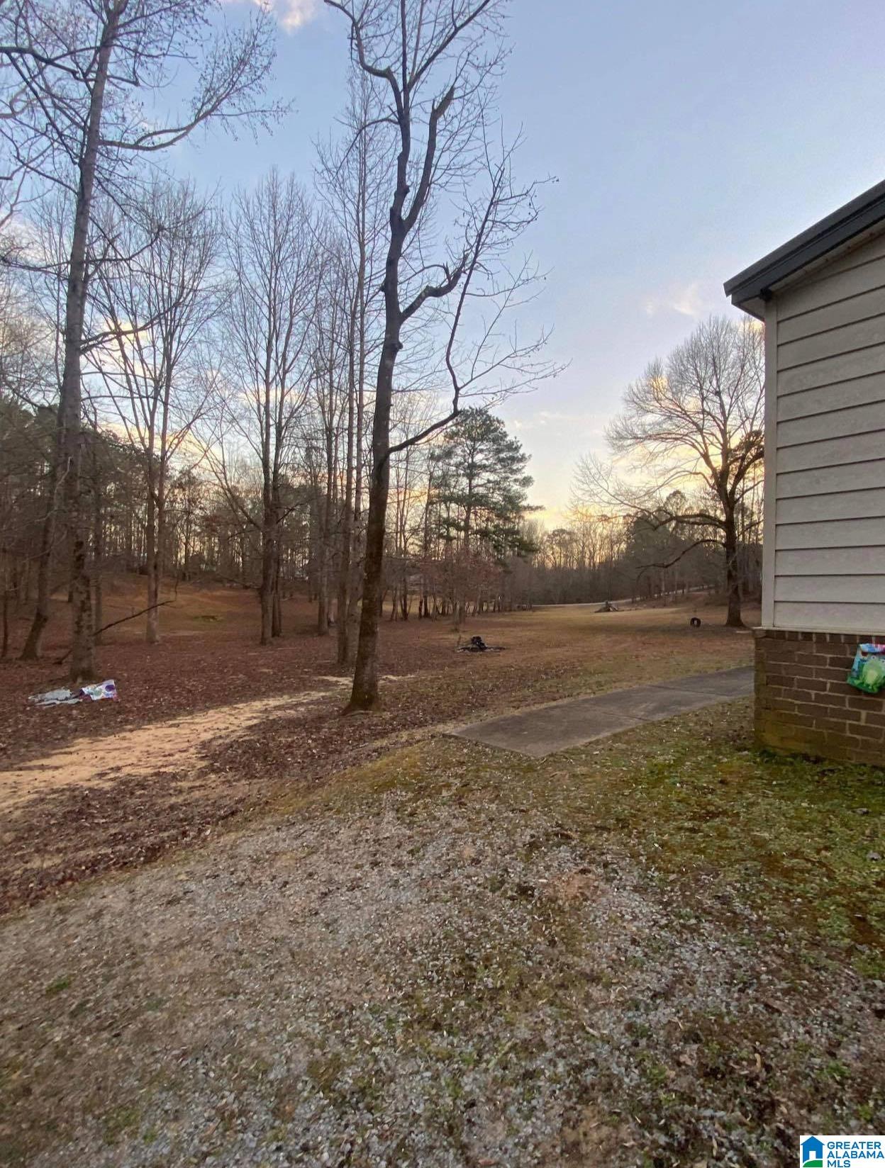 470 County Road 869 Jemison, AL 35085 - Photo 2 of 18