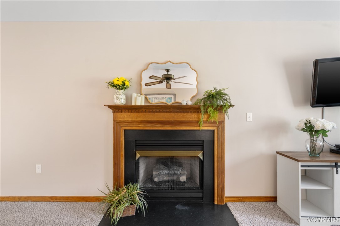 12207 Balta Road Chesterfield, VA 23838 - Photo 11 of 50 Detailed view of baseboards, a glass covered firep