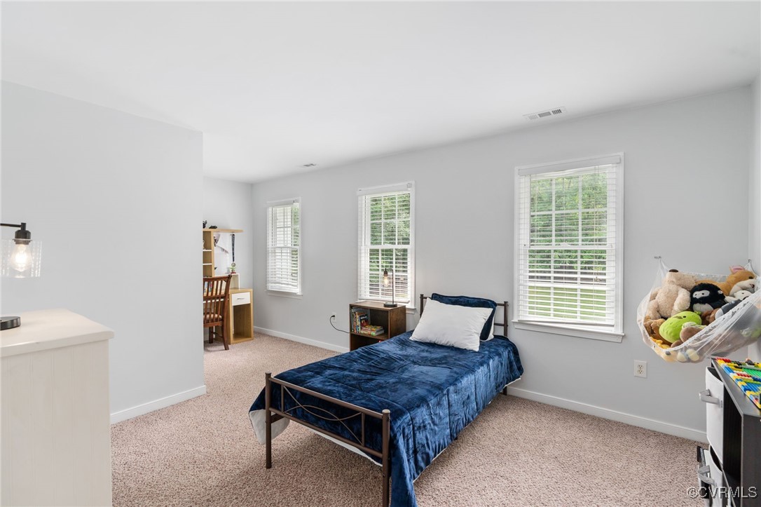 12207 Balta Road Chesterfield, VA 23838 - Photo 28 of 50 Bedroom with carpet and baseboards
