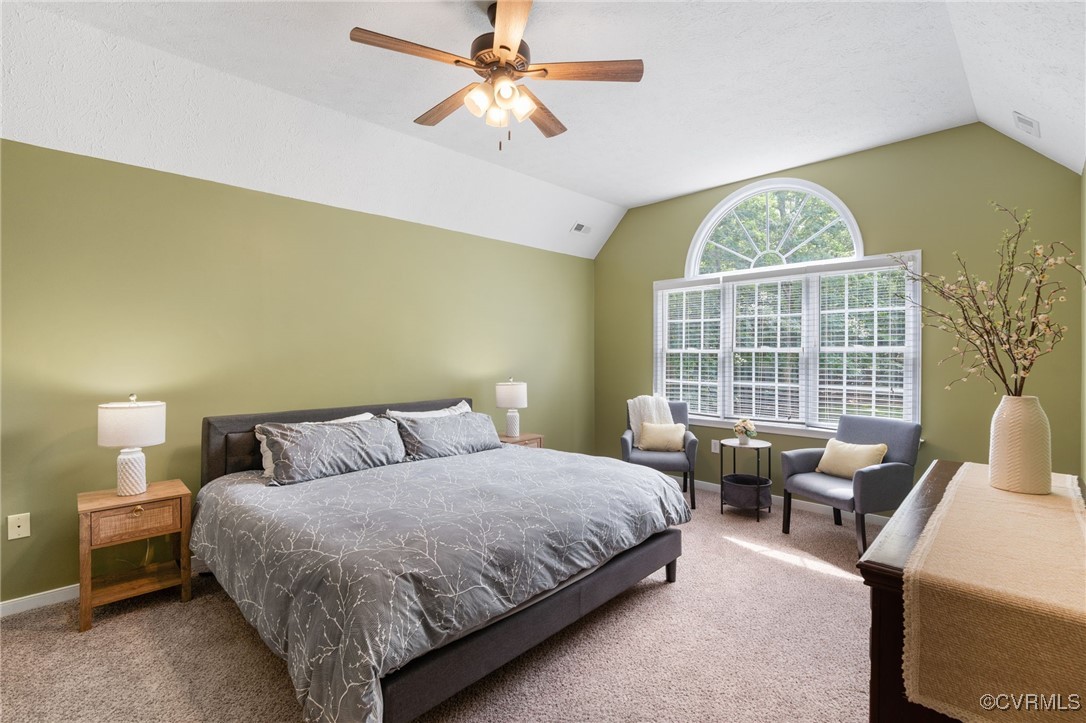 12207 Balta Road Chesterfield, VA 23838 - Photo 33 of 50 Bedroom featuring vaulted ceiling, carpet floors,