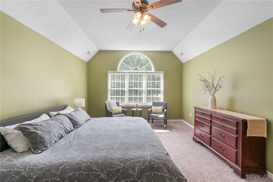 12207 Balta Road Chesterfield, VA 23838 - Photo 34 of 50 Bedroom with light colored carpet, lofted ceiling,