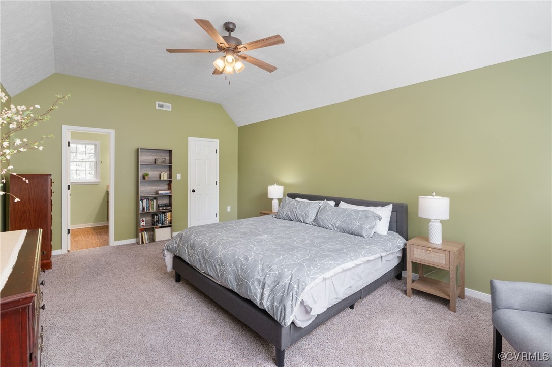 12207 Balta Road Chesterfield, VA 23838 - Photo 35 of 50 Bedroom featuring lofted ceiling, carpet flooring,