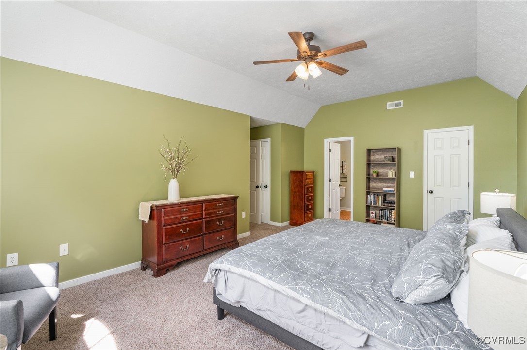 12207 Balta Road Chesterfield, VA 23838 - Photo 36 of 50 Bedroom with lofted ceiling, light carpet, baseboa