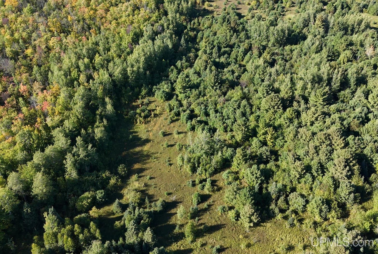 Tbde20 Firesteel Road Ontonagon, MI 49953 - Photo 4 of 16