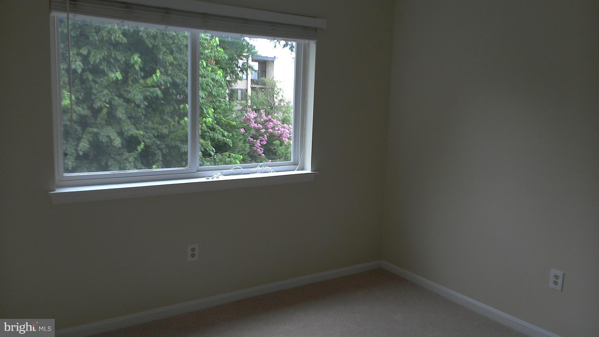 10829-10831 Amherst Avenue, Unit F Silver Spring, MD 20902 - Photo 4 of 9 Bedroom (Master)