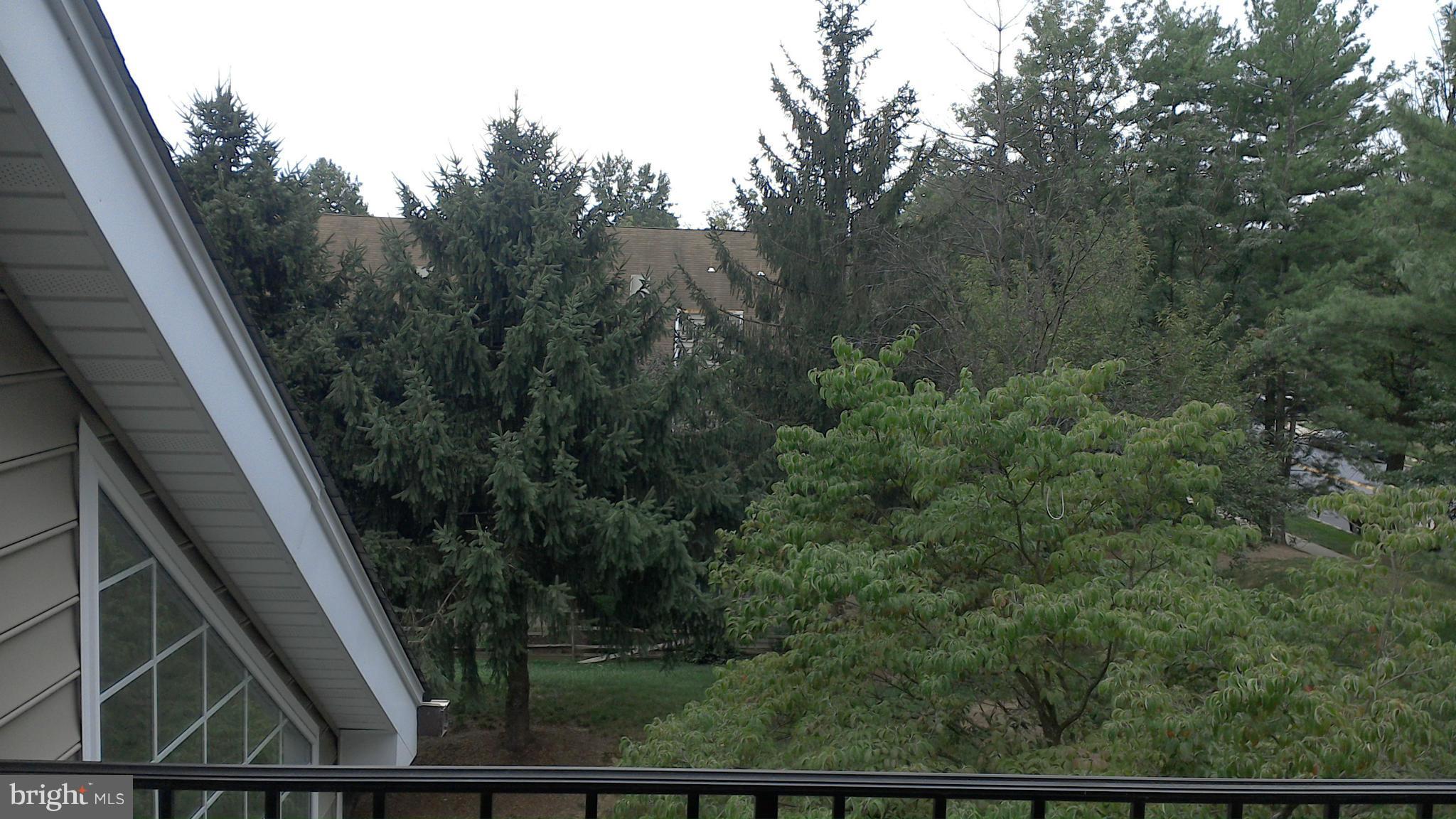 10829-10831 Amherst Avenue, Unit F Silver Spring, MD 20902 - Photo 9 of 9 View from Balcony
