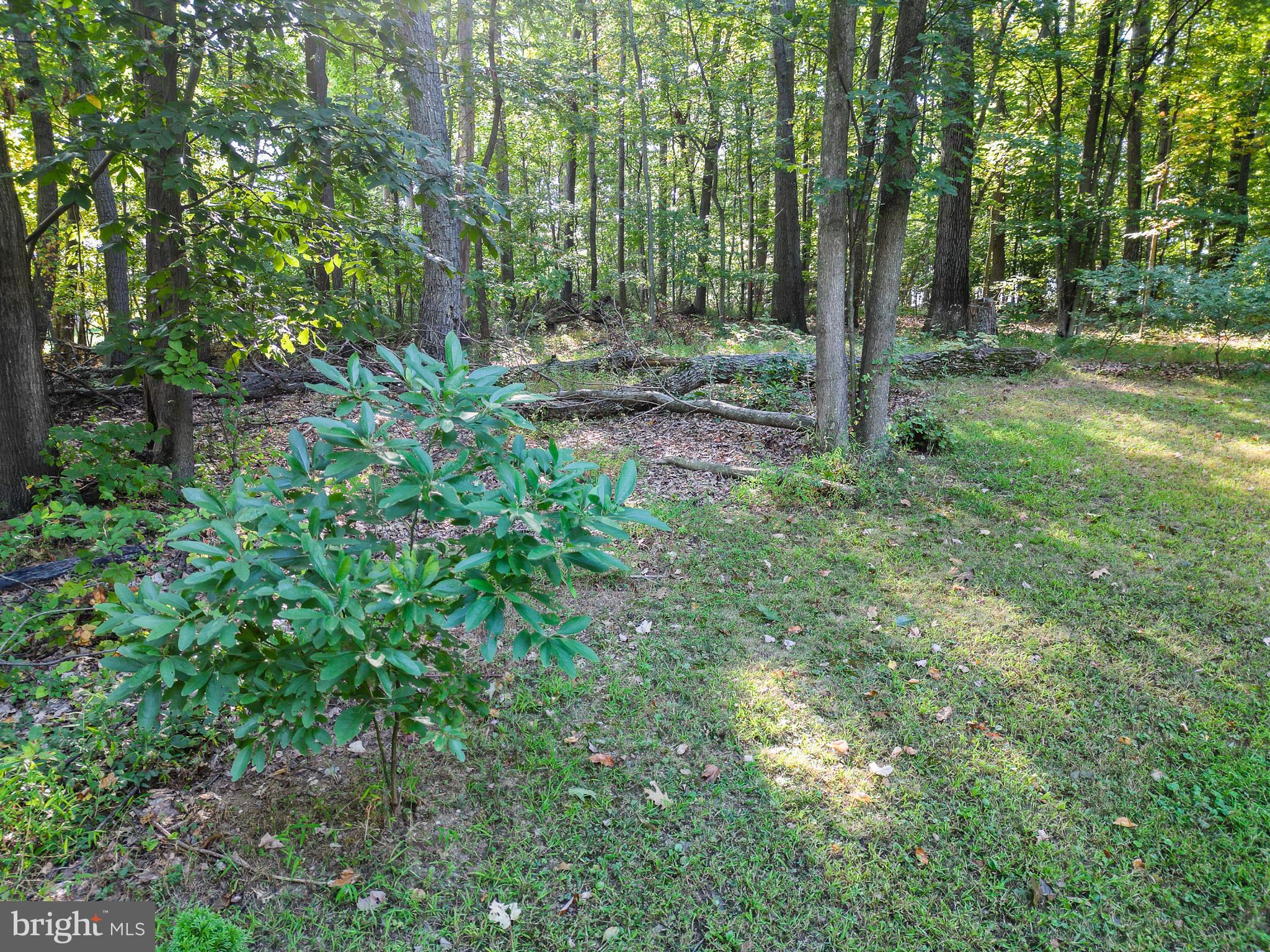 3319 Mail Road Westminster, MD 21157 - Photo 55 of 70 Yard