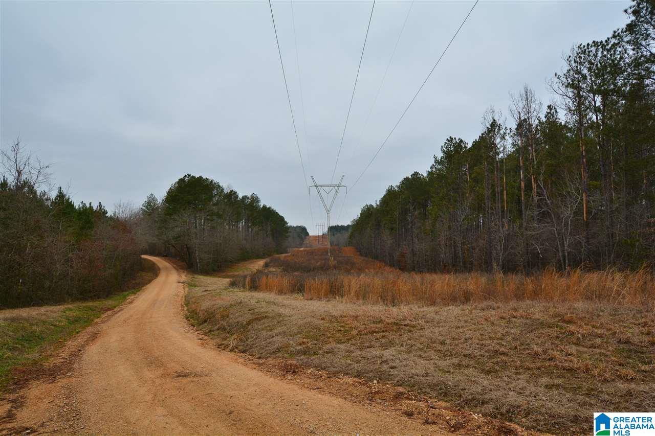 Sycamore Road Columbiana, AL 35051 - Photo 4 of 18