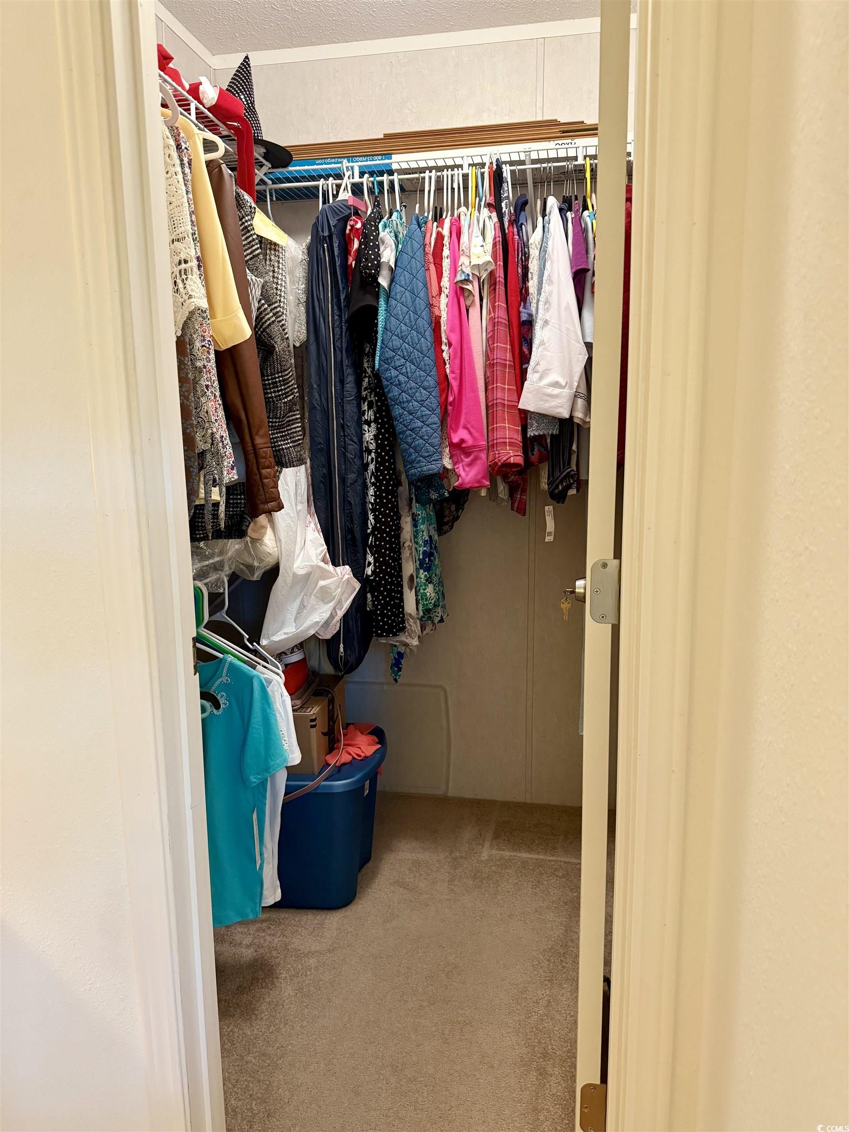 216 Walden Lake Road Conway, SC 29526 - Photo 20 of 40 Walk in closet with carpet floors