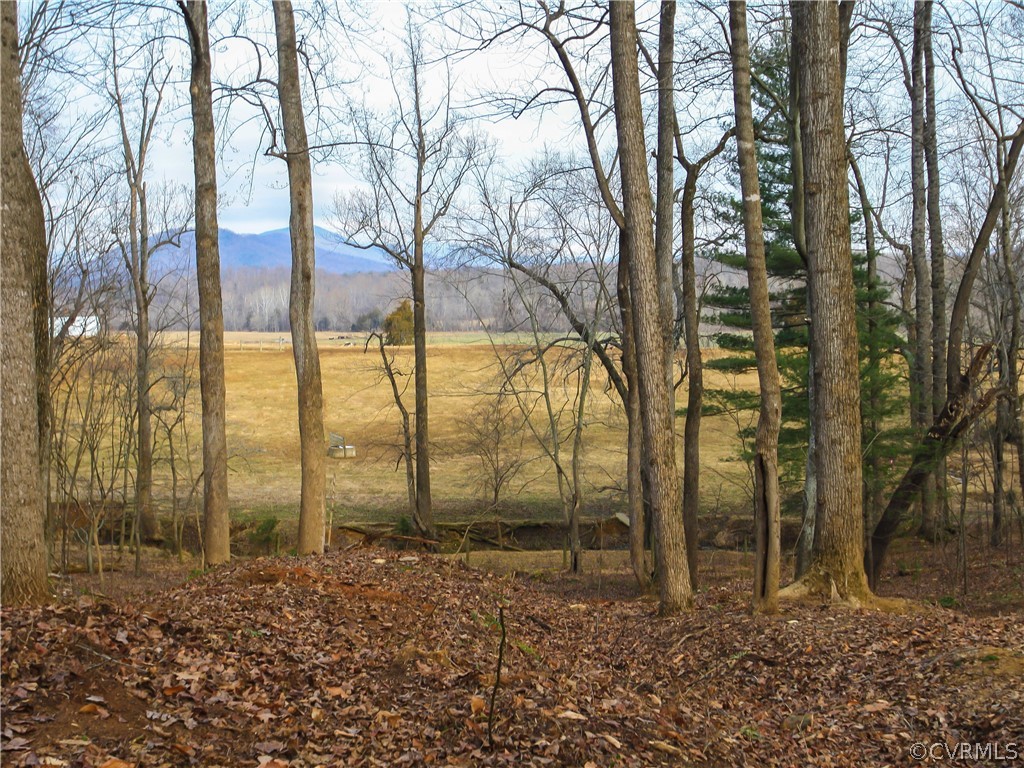 Tbd Dundee Road Stanardsville, VA 22973 - Photo 15 of 26 Gallery Image 15