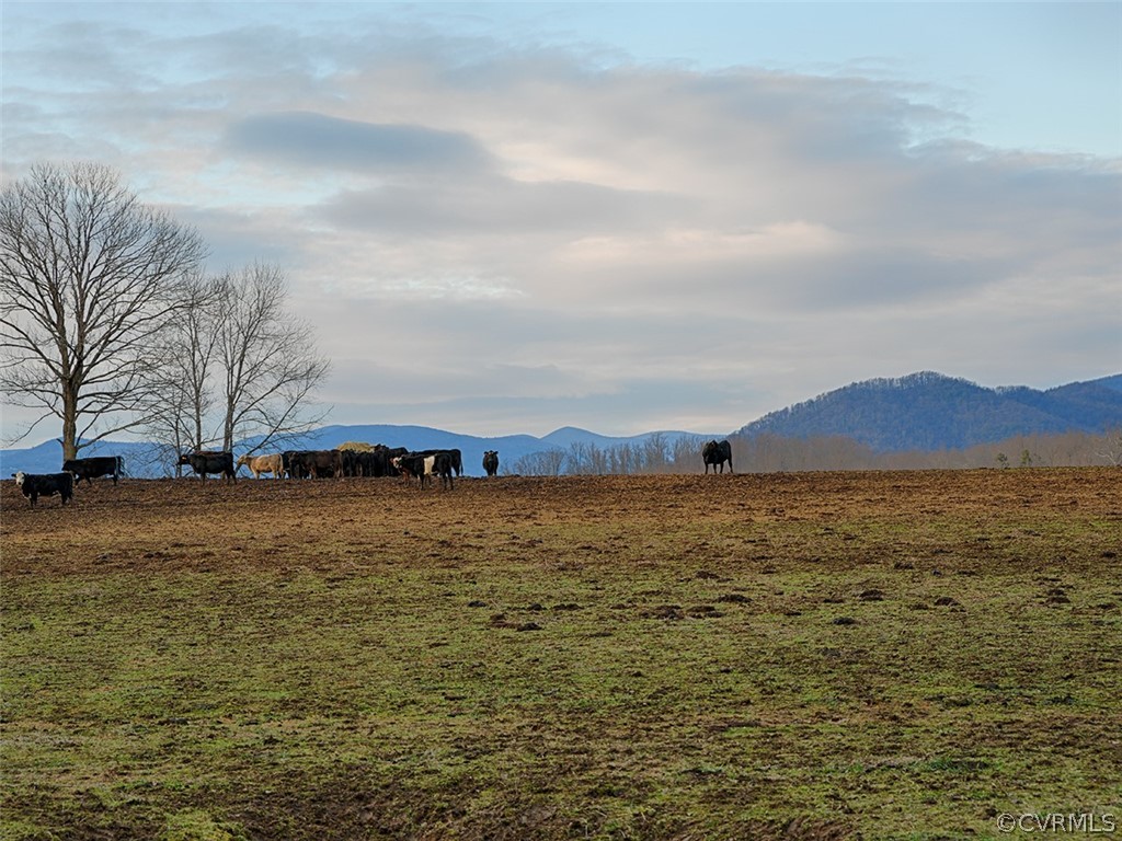 Tbd Dundee Road Stanardsville, VA 22973 - Photo 18 of 26 Gallery Image 18