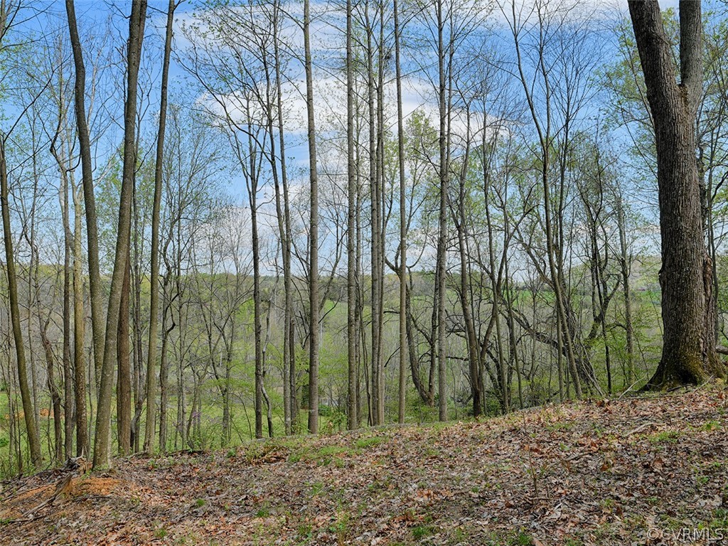 Tbd Dundee Road Stanardsville, VA 22973 - Photo 20 of 26 Gallery Image 20