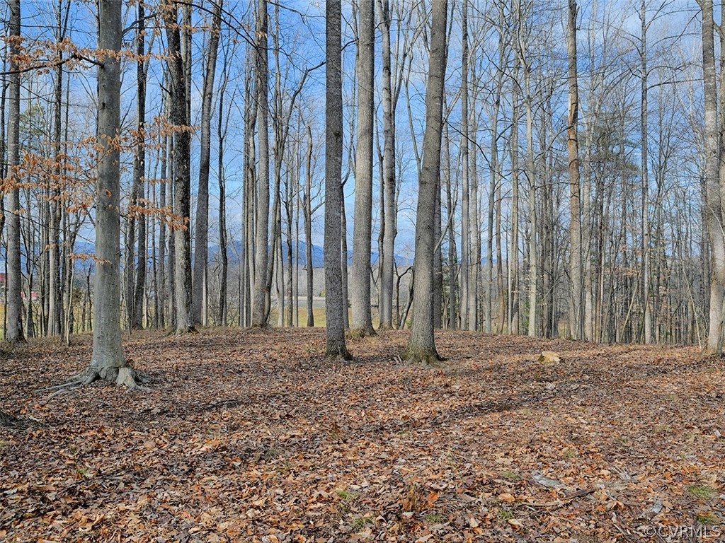 Tbd Dundee Road Stanardsville, VA 22973 - Photo 25 of 26 Gallery Image 25