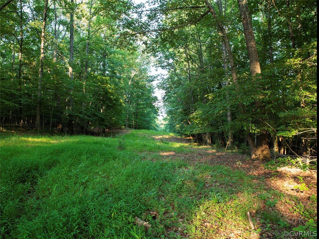 Tbd Dundee Road Stanardsville, VA 22973 - Photo 6 of 26 Gallery Image 6