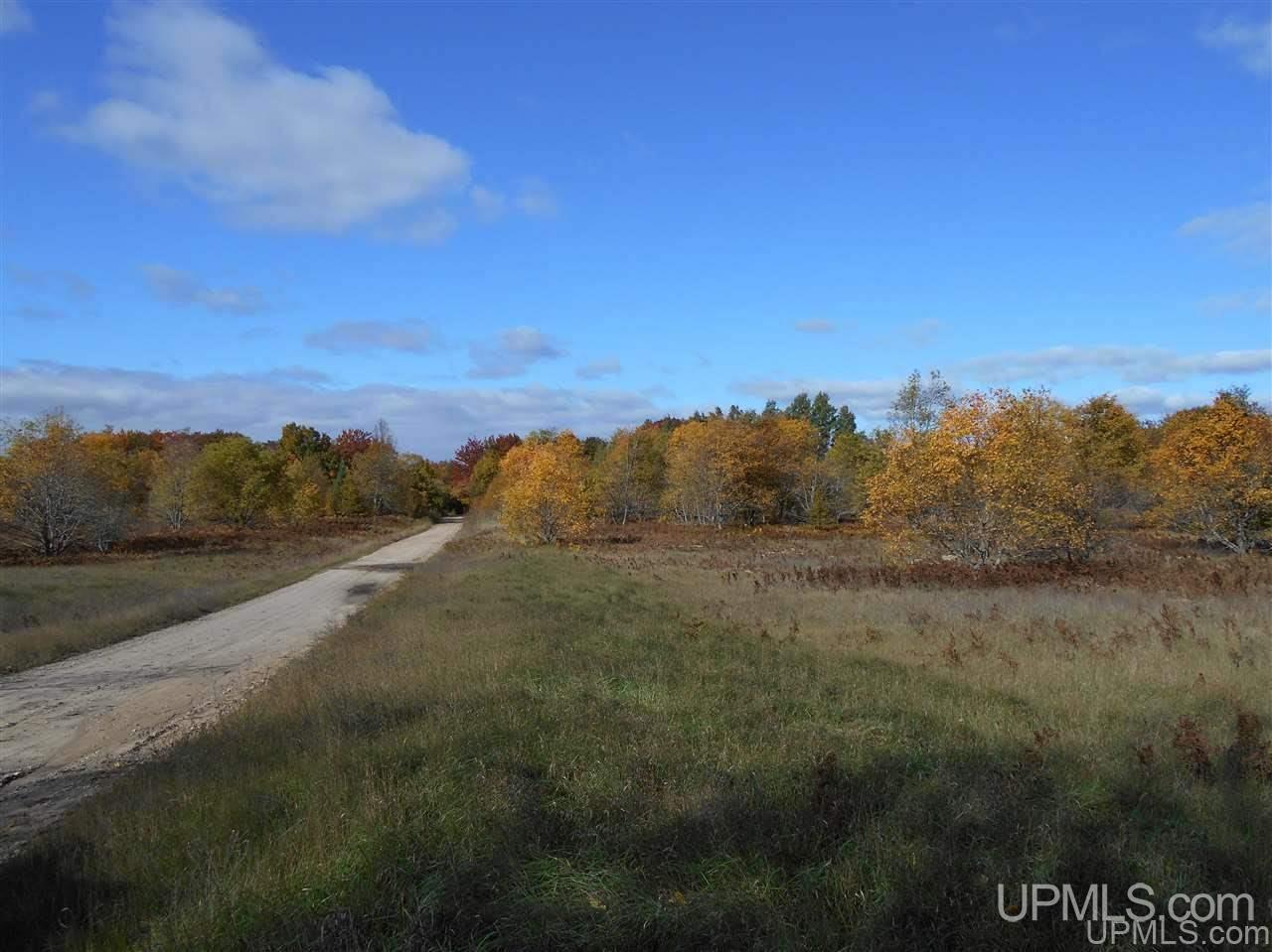 Tbd Tee Lake Road, Unit EAST PARCEL Germfask, MI 49836 - Photo 3 of 10