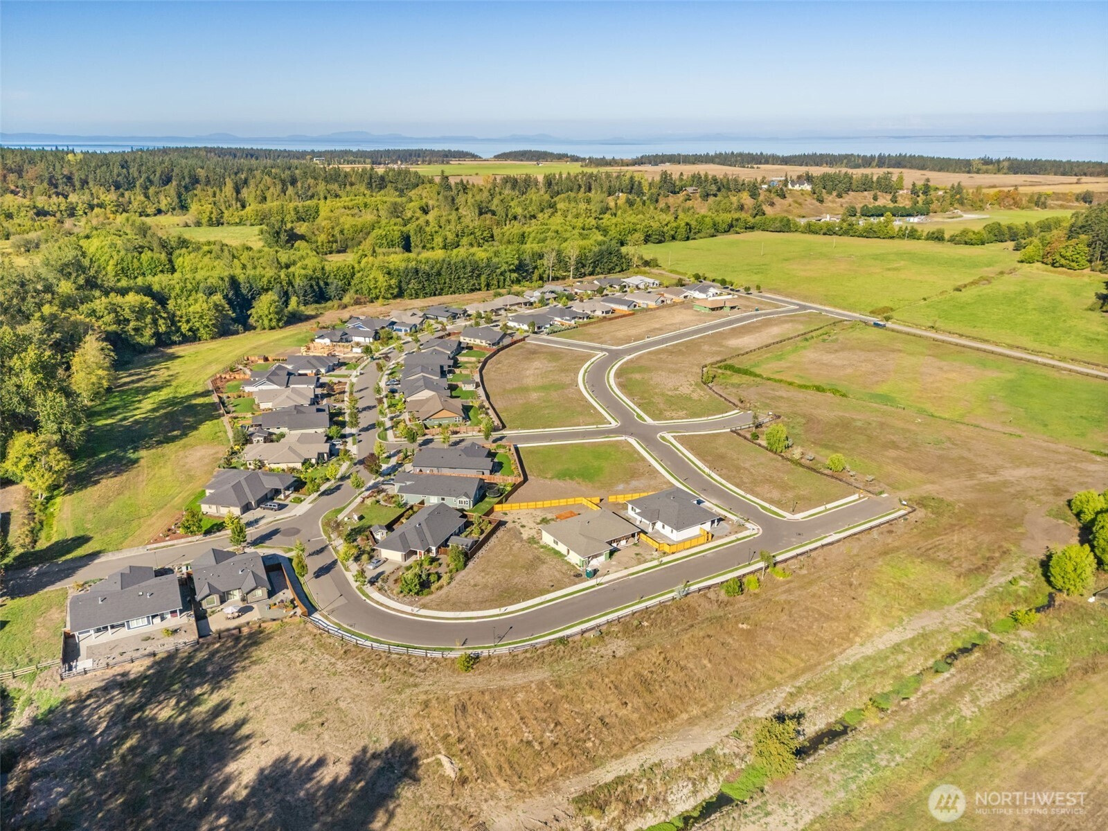 61 Dover Lane Sequim, WA 98382 - Photo 15 of 20 a view of a swimming pool