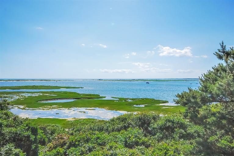 230 Stage Island Road Chatham, MA 02633 - Photo 4 of 11 Additional Photo
