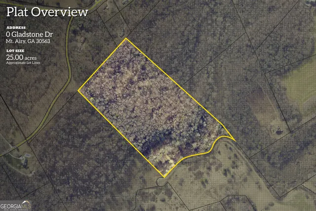 $375,000 | 0 Gladston Road, Mount Airy, GA 30563