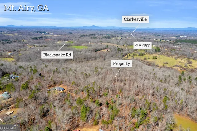 $375,000 | 0 Gladston Road, Mount Airy, GA 30563
