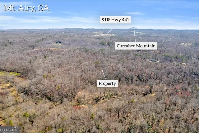 $375,000 | 0 Gladston Road, Mount Airy, GA 30563