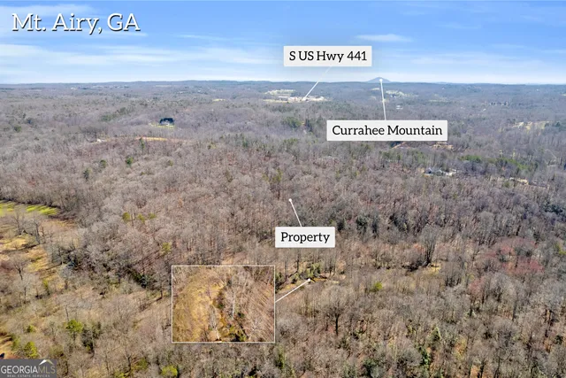 $375,000 | 0 Gladston Road, Mount Airy, GA 30563