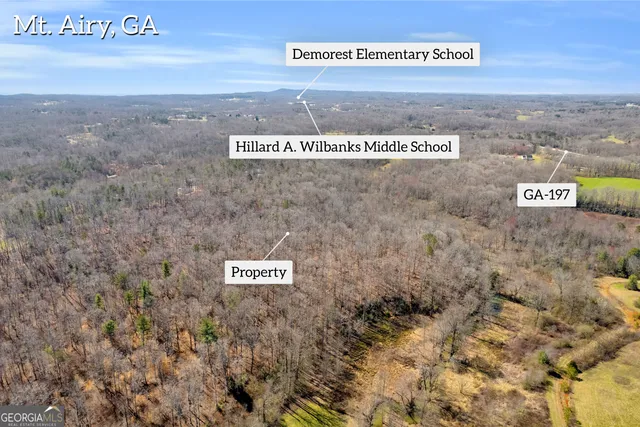 $375,000 | 0 Gladston Road, Mount Airy, GA 30563