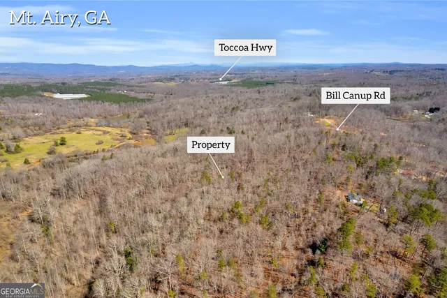 $375,000 | 0 Gladston Road, Mount Airy, GA 30563