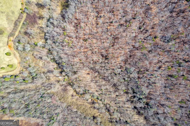 $375,000 | 0 Gladston Road, Mount Airy, GA 30563